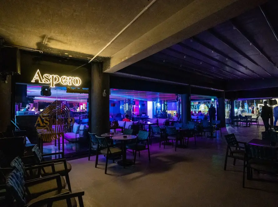 Journey Through Small Plates