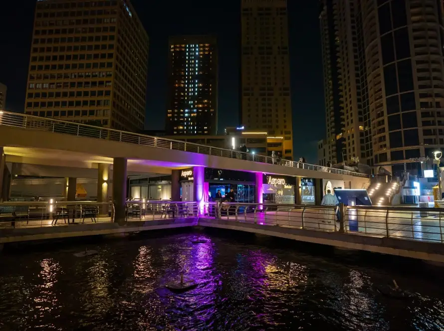 Romantic Dinner on the Nile